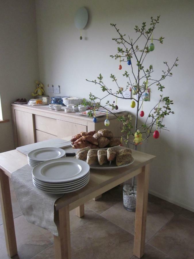 Bed and Breakfast Holland House Баллишаннон Экстерьер фото